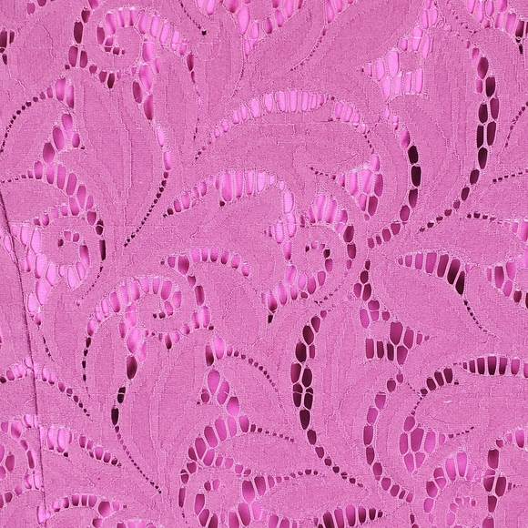 CAbi Frolic Plumberry Lace Jacket - Picture 3 of 7